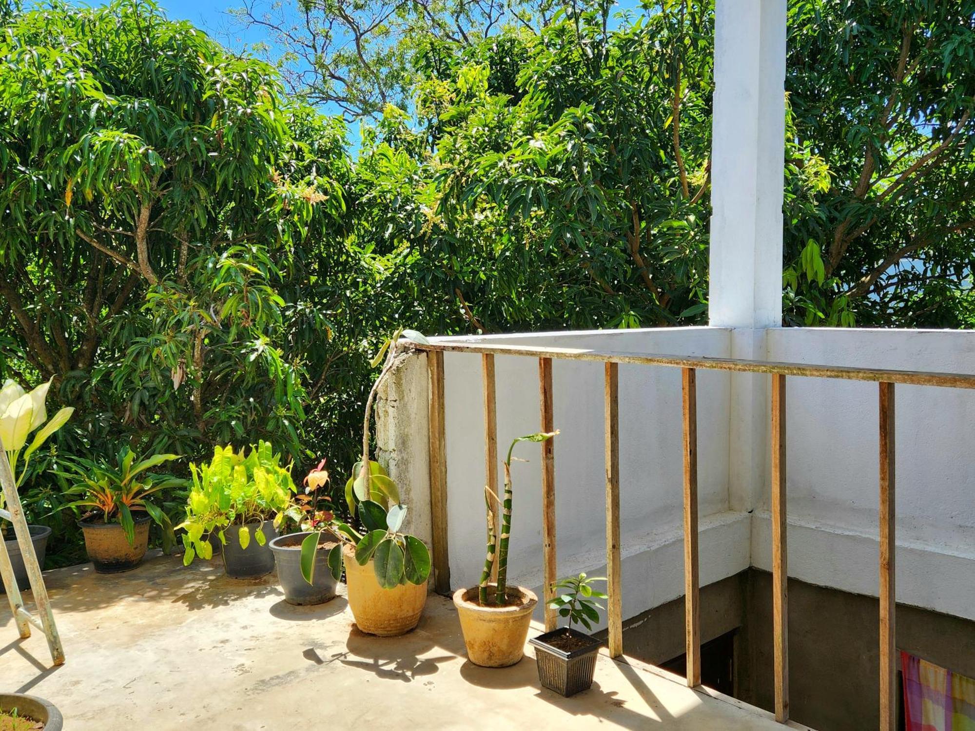 Sun Sea Guest Home Tangalle Exteriör bild